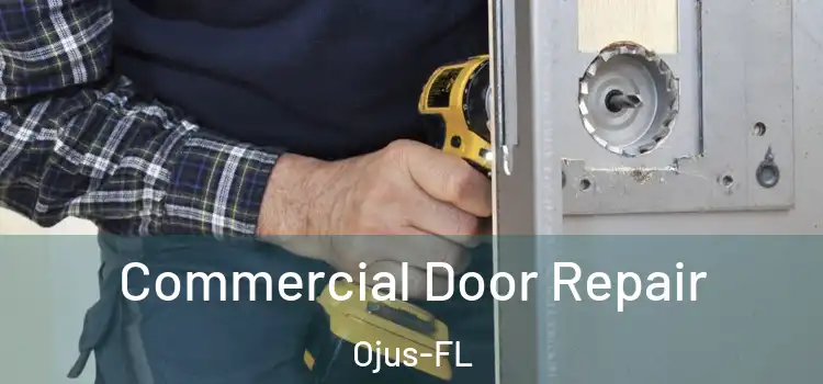  Commercial Door Repair Ojus-FL