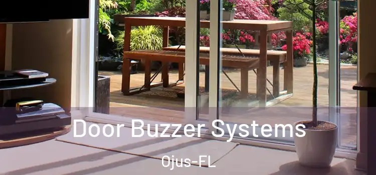  Door Buzzer Systems Ojus-FL