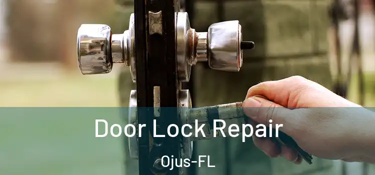 Door Lock Repair Ojus-FL
