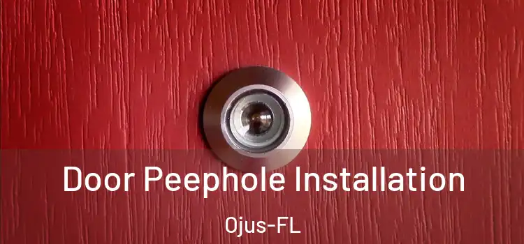  Door Peephole Installation Ojus-FL