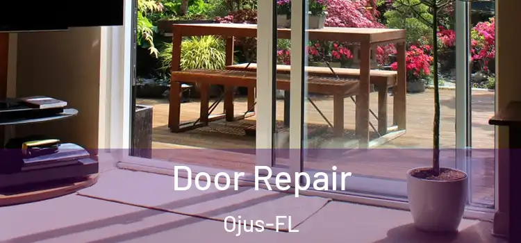  Door Repair Ojus-FL