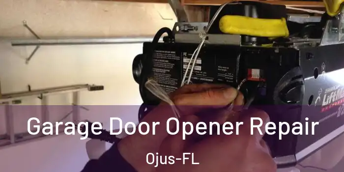  Garage Door Opener Repair Ojus-FL