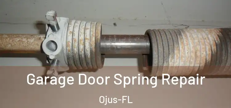  Garage Door Spring Repair Ojus-FL