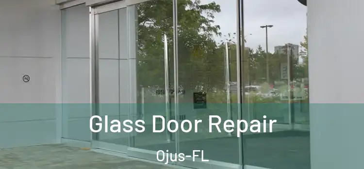 Glass Door Repair Ojus-FL