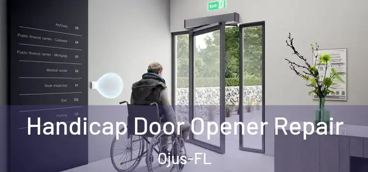 Handicap Door Opener Repair Ojus-FL