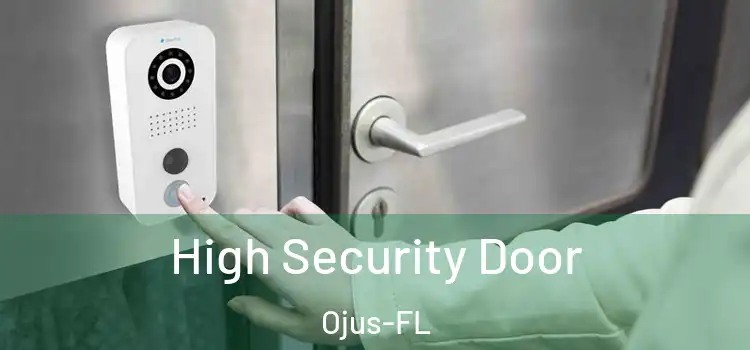  High Security Door Ojus-FL