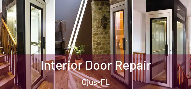  Interior Door Repair Ojus-FL