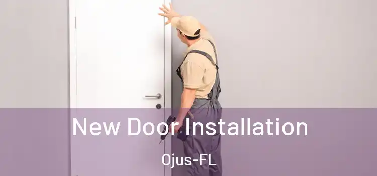  New Door Installation Ojus-FL