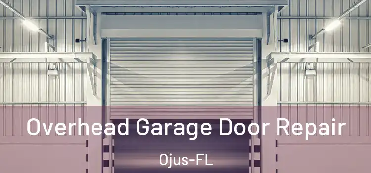  Overhead Garage Door Repair Ojus-FL