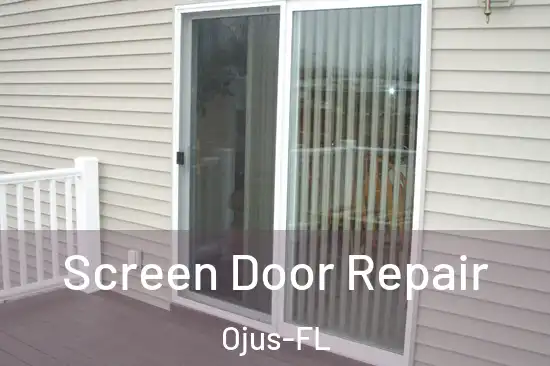  Screen Door Repair Ojus-FL