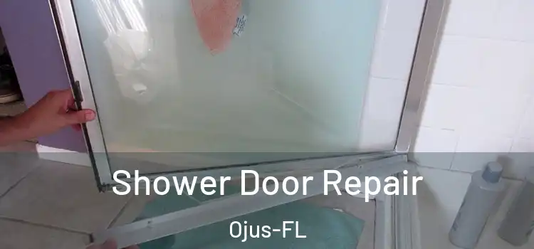  Shower Door Repair Ojus-FL