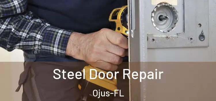  Steel Door Repair Ojus-FL